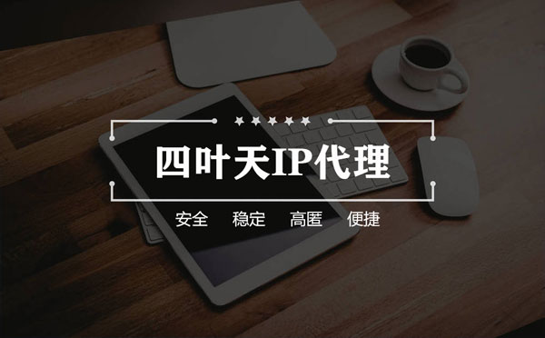 【益阳代理IP】如何快速搭建代理IP？怎么检查代理的效果？